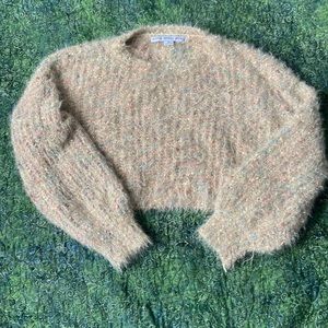 Sparkly cropped sweater